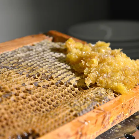 Rosslyn Park Hotel 4*