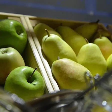 Hotel Rosslyn Park Sofia