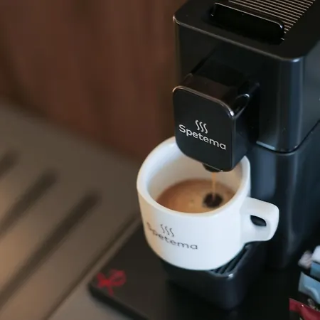 索非亚罗斯林中央公园酒店 4* 索菲亞