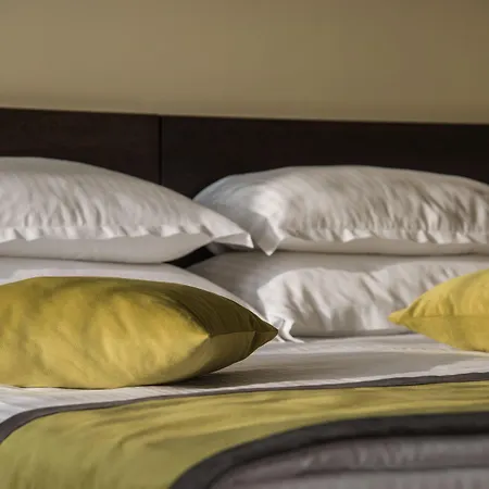 索非亚罗斯林中央公园酒店 4*