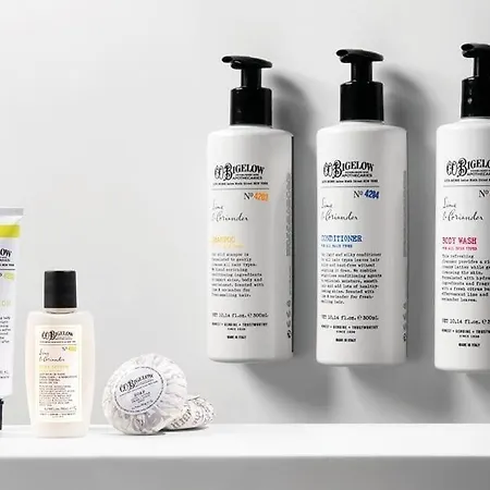 索非亚罗斯林中央公园酒店 酒店