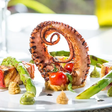 索非亚罗斯林中央公园酒店 酒店