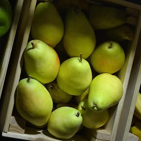 索非亚罗斯林中央公园酒店