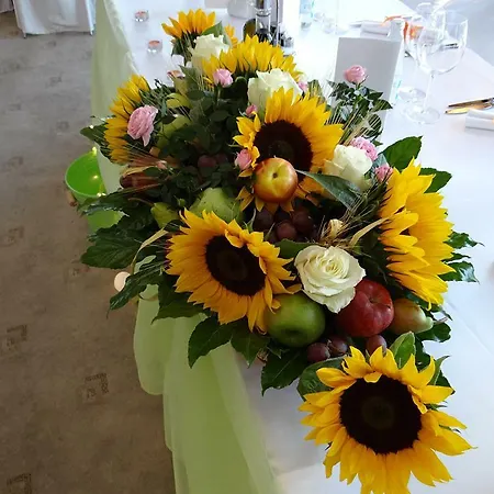 索非亚罗斯林中央公园酒店 索菲亞