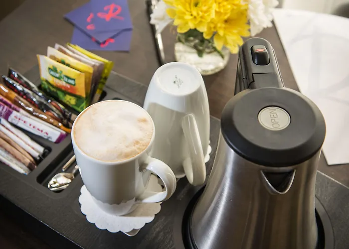 فندق روسلين سنترال بارك