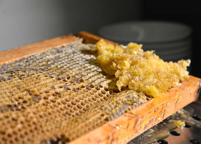 Rosslyn Park Хотел 4*