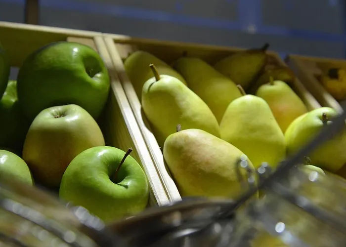 酒店 索非亚罗斯林中央公园酒店 索菲亞